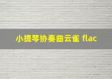 小提琴协奏曲云雀 flac